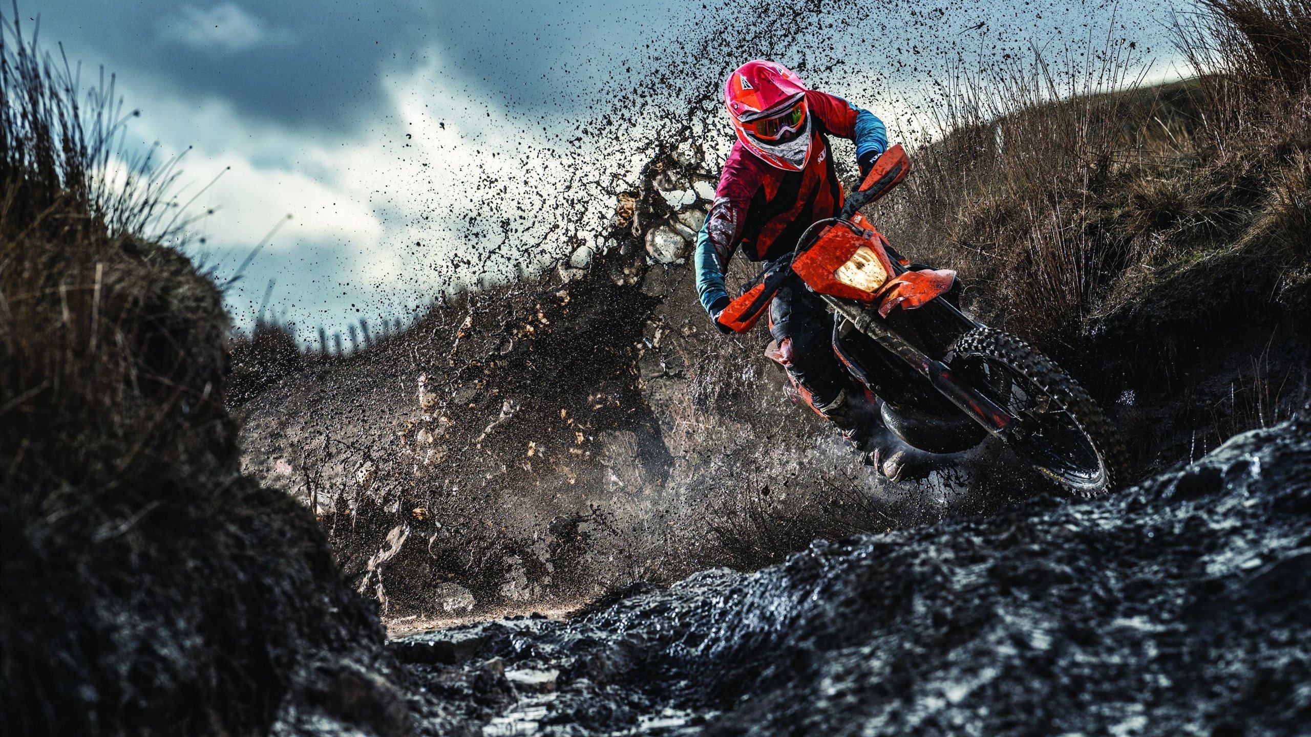 TES战队引进先进恢复训练设备,tes战队怎么样